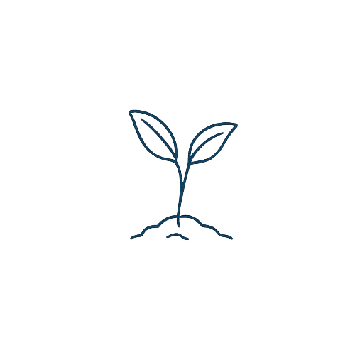 Sprout
